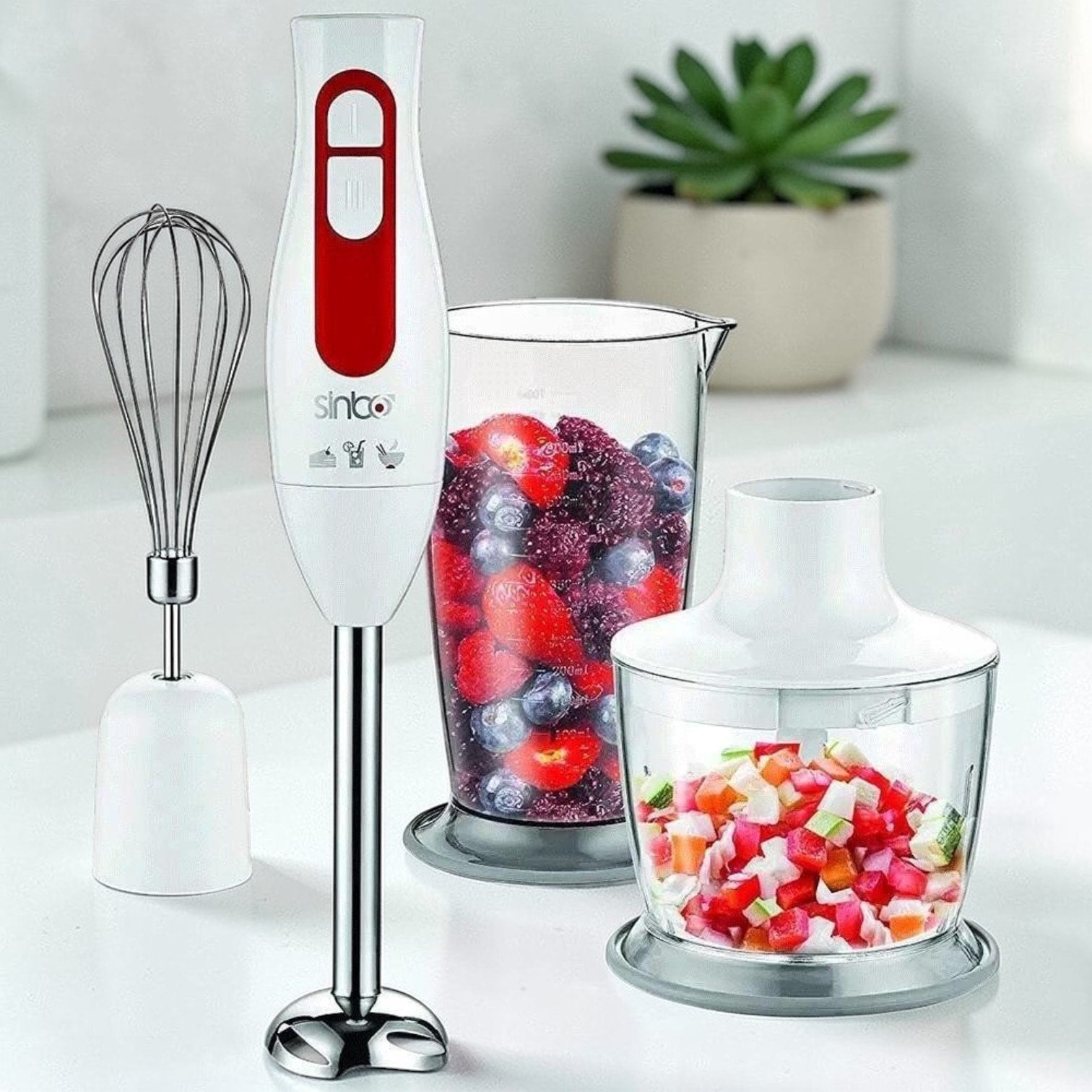 SNB 3100S Blender Seti